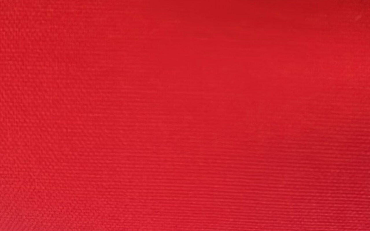 Canvas Roja