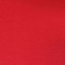 Canvas Roja