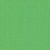 Canvas Parrot Green