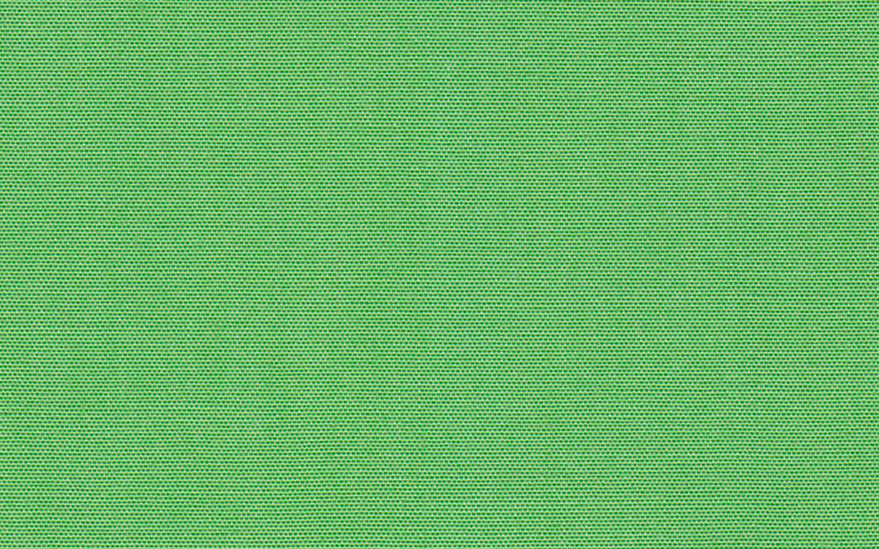 Canvas Parrot Green