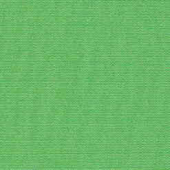 Canvas Parrot Green