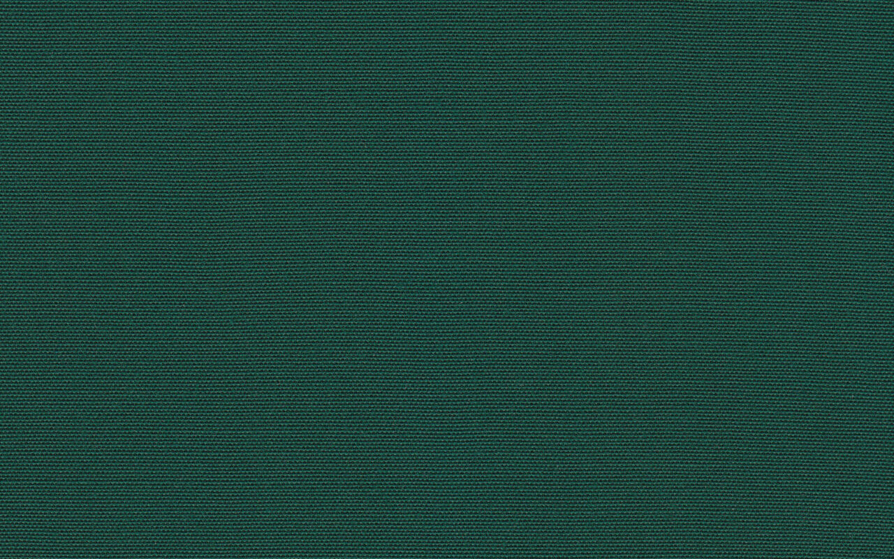Canvas Forest Green