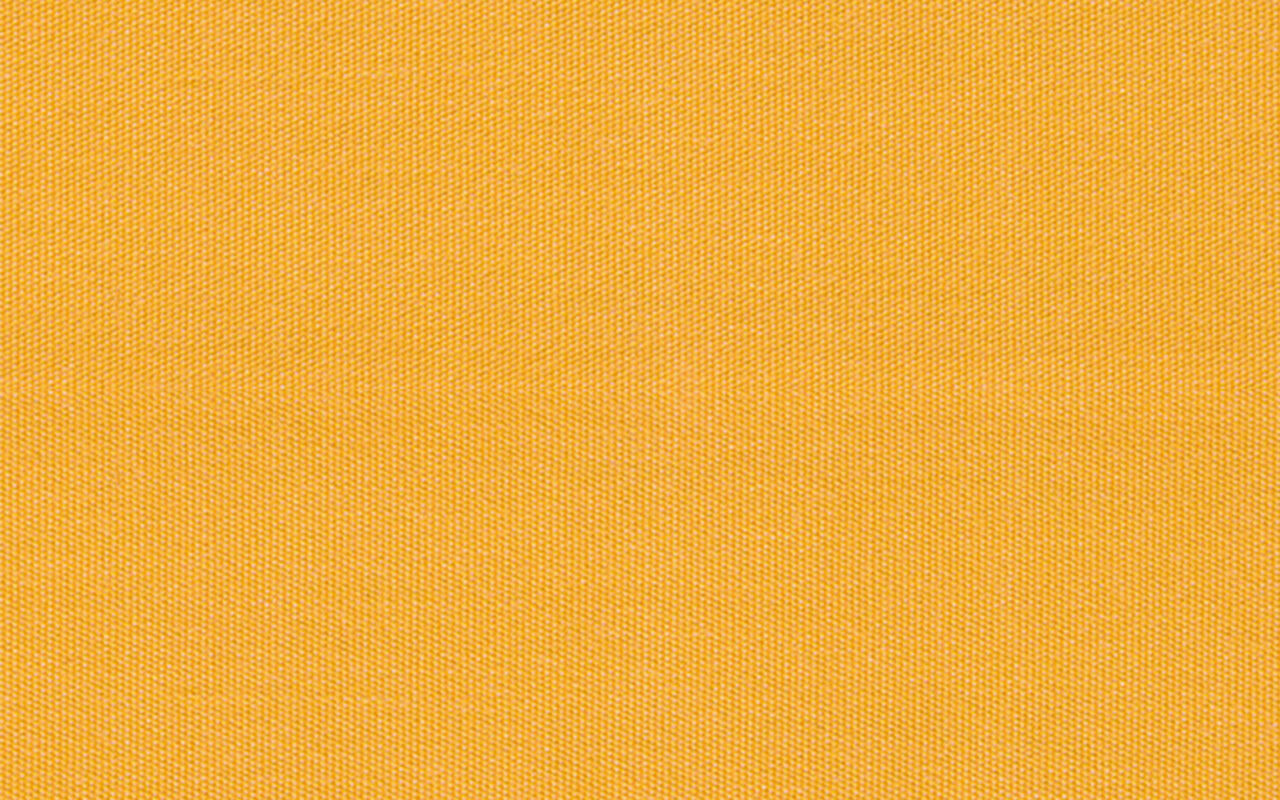 Canvas Gold
